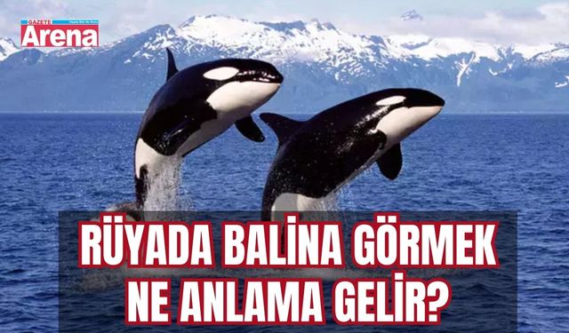 Rüyada balina görmek ne anlama gelir?