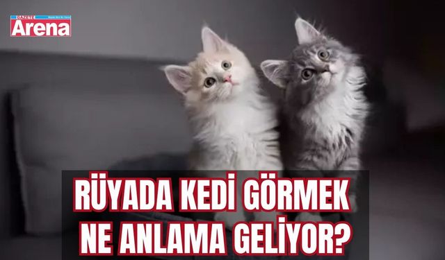 Rüyada Kedi görmek ne anlama geliyor?