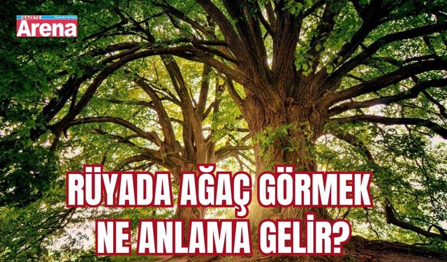 Rüyada ağaç görmek ne anlama gelir?