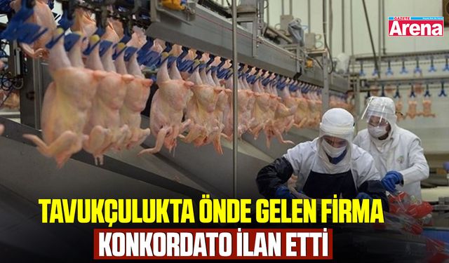 Tavukçulukta önde gelen firma konkordato ilan etti
