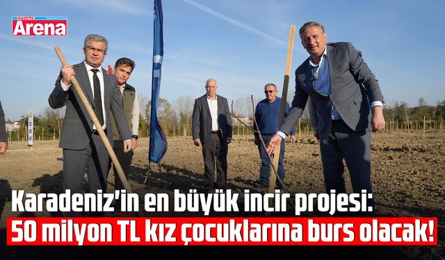 Karadeniz'in en büyük incir projesi