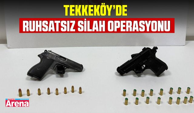 Tekkeköy’de ruhsatsız silah operasyonu