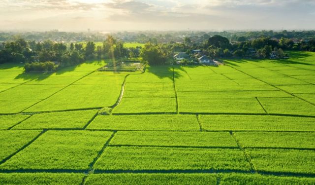 Yakakent Belediyesi'nden Taşınmaz Satış İhalesi