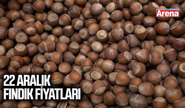22 Aralık 2025 fındık fiyatları