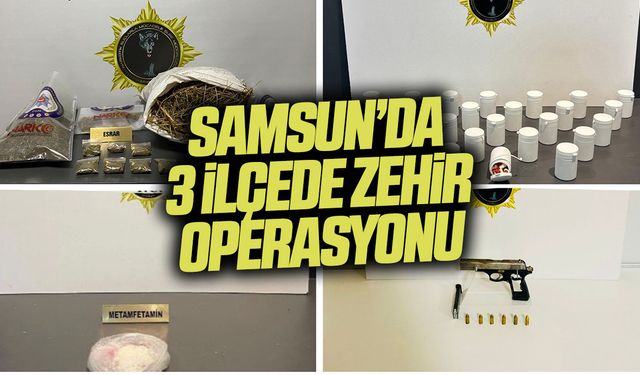 Samsun’da 3 İlçede zehir operasyonu