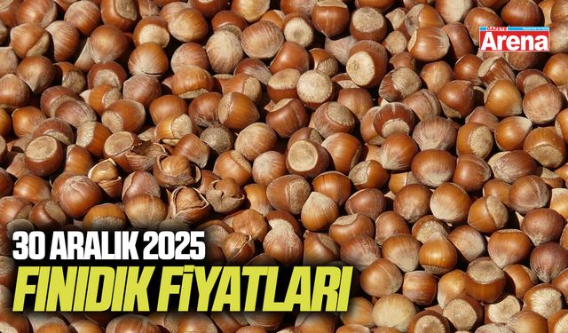 30 Aralık 2025 fındık fiyatları