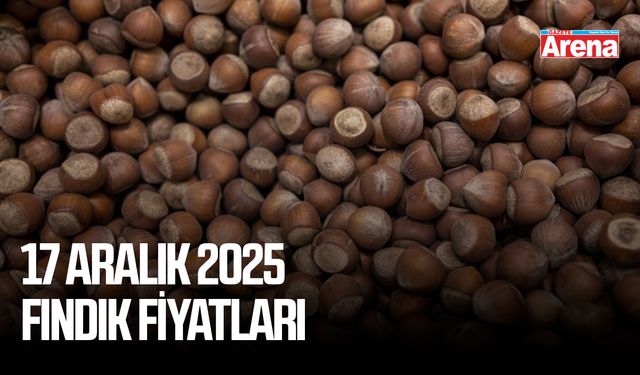 17 Aralık 2025 fındık fiyatları