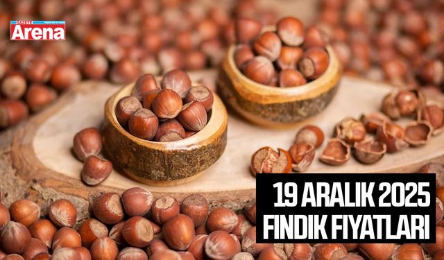 19 Aralık 2025 güncel fındık fiyatları