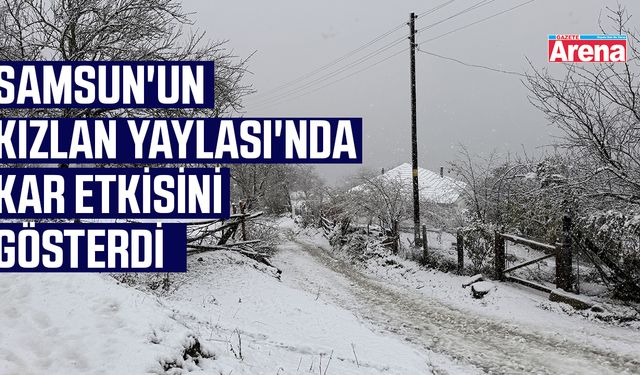 Samsun'un Kızlan Yaylası'nda kar etkisini gösterdi