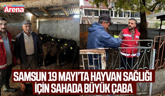 19 Mayıs'ta hayvan sağlığı çalışmaları devam ediyor