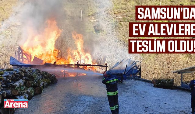 Samsun'da ev alevler teslim oldu!