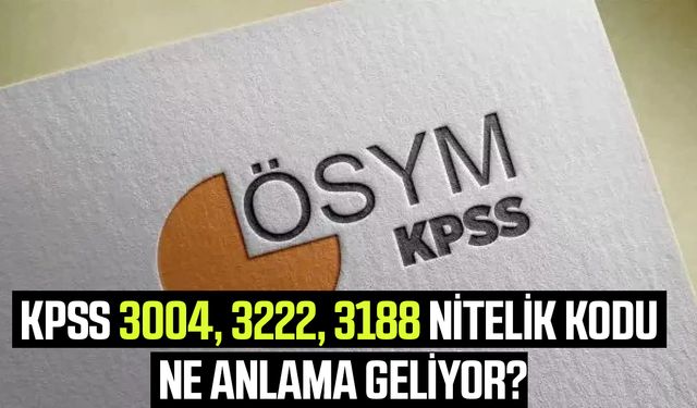 KPSS 3004, 3222, 3188 nitelik kodu ne anlama geliyor?