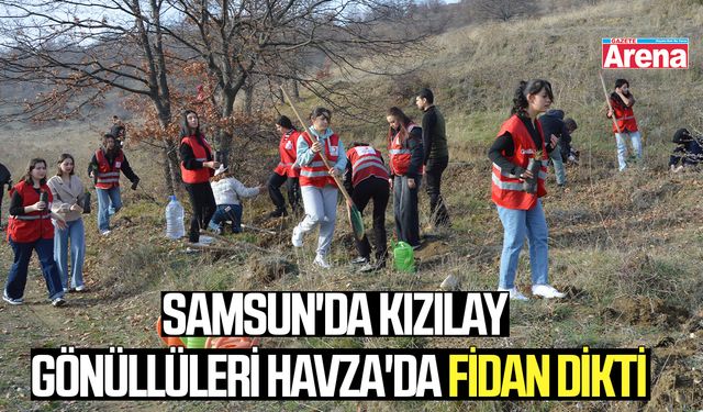 Samsun'da Kızılay gönüllüleri Havza'da fidan dikti