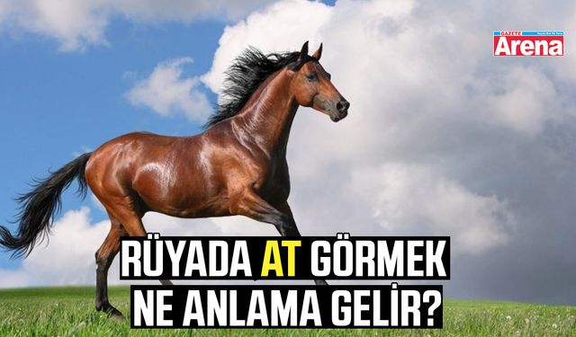 Rüyada at görmek ne anlama gelir?