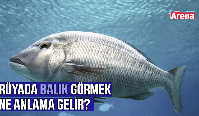 Rüyada balık görmek ne anlama gelir?