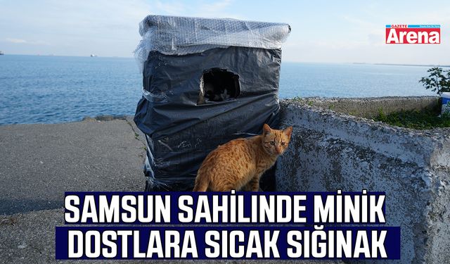 Samsun sahilinde minik dostlara sıcak sığınak