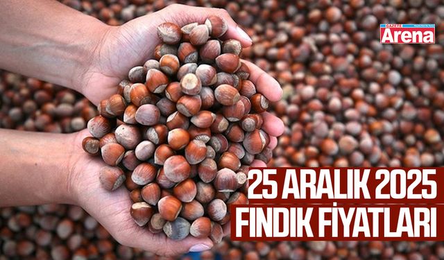 25 Aralık güncel fındık fiyatları