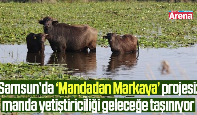 Samsun’da “Mandadan Markaya” projesi