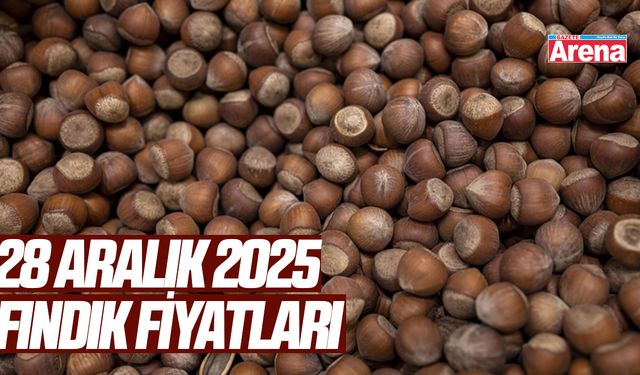 28 Aralık 2025 fındık fiyatları