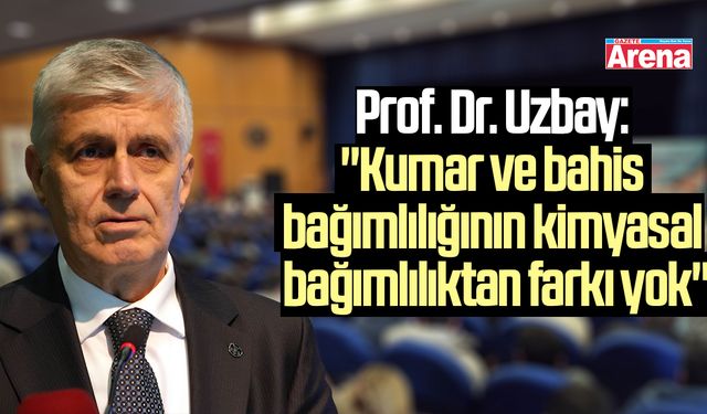 Prof. Dr. Uzbay: "Kumar ve bahis bağımlılığının kimyasal bağımlılıktan farkı yok"