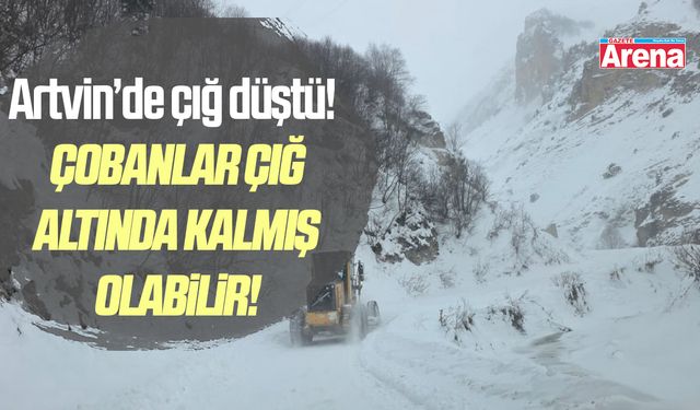 Artvin'de çığ düştü!