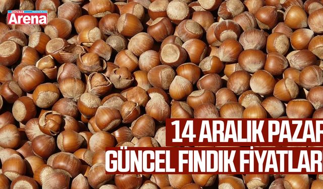 14 Aralık 2025 fındık fiyatları