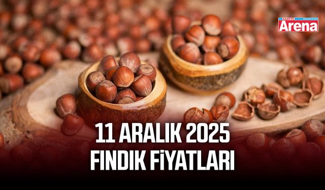 11 Aralık 2025 fındık fiyatları il il güncellendi
