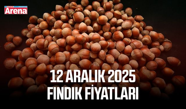 12 Aralık 2025 fındık fiyatları: İl il güncel liste açıklandı
