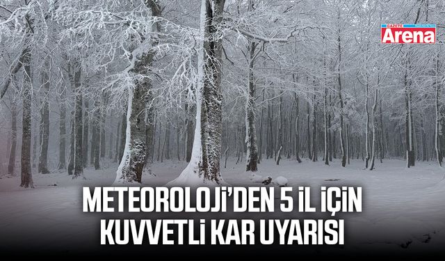 Meteoroloji’den 5 il için kuvvetli kar uyarısı