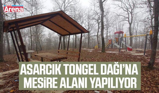Asarcık Tongel Dağı’na mesire alanı yapılıyor