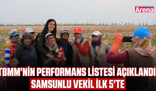 TBMM performans listesini açıkladı: Samsunlu vekil ilk 5'te