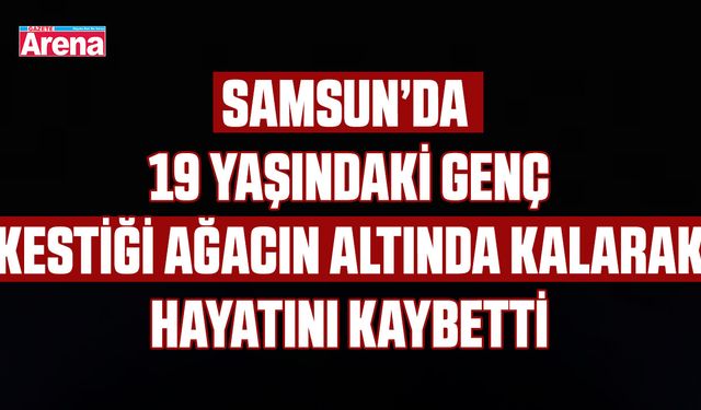 19 Yaşındaki genç kestiği ağacın altında kaldı