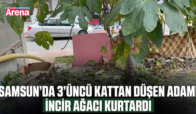 Samsun’da 3’üncü kattan düşen adamı incir ağacı kurtardı