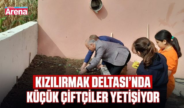 Kızılırmak Deltası’nda küçük çiftçiler yetişiyor