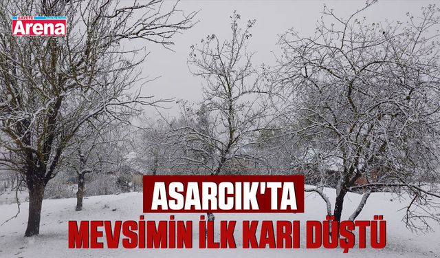 Asarcık'ta mevsimin ilk karı düştü