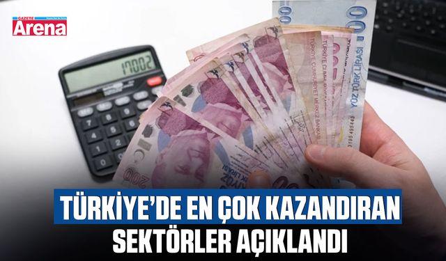 Türkiye’de en çok kazandıran sektörler açıklandı