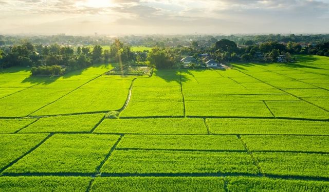 Karayollar Genel Müdürlüğü'nden taşınmaz satış ilanı