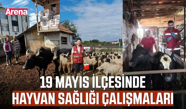 19 Mayıs’ta hayvan sağlığı çalışmaları sürüyor