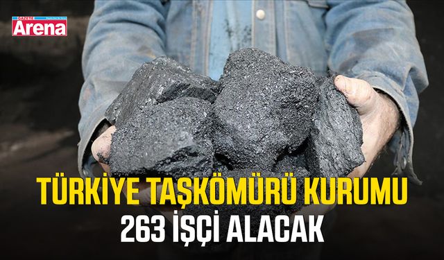 Türkiye Taşkömürü Kurumu 263 işçi alacak