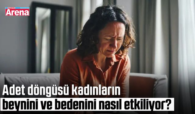 Adet döngüsü kadınların beynini ve bedenini nasıl etkiliyor?