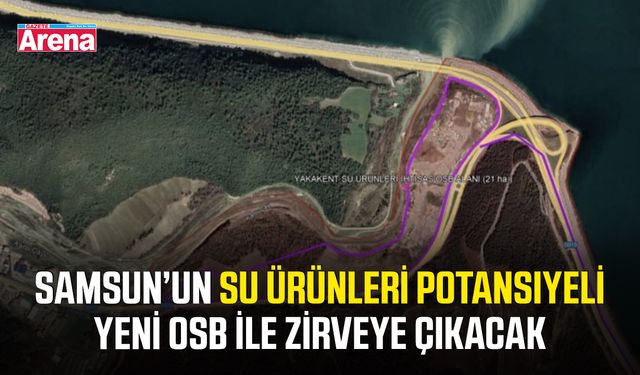 Samsun’un su ürünleri potansiyeli yeni OSB ile zirveye çıkacak