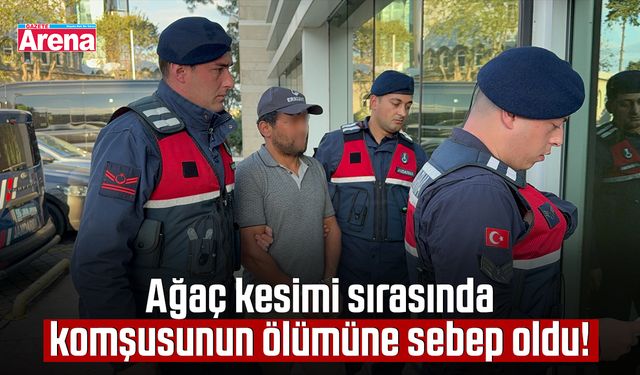 Ağaç kesimi sırasında komşusunun ölümüne sebep oldu!
