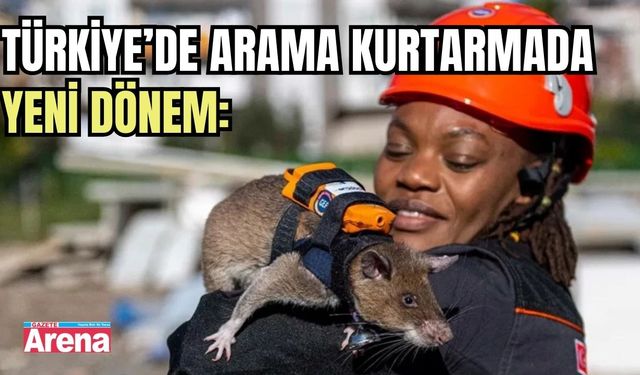 Türkiye’de arama kurtarmada yeni dönem: Kahraman fareler