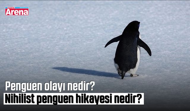 Penguen olayı nedir? Nihilist penguen hikayesi nedir?