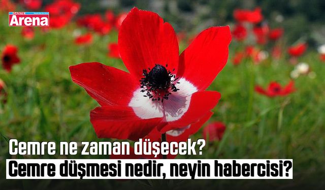 Cemre ne zaman düşecek? Cemre düşmesi nedir, neyin habercisi?