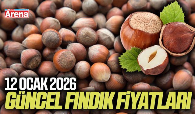 12 Ocak 2026 güncel fındık fiyatları