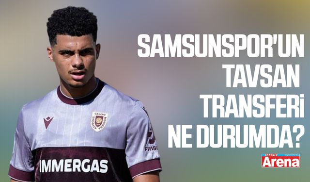 Samsunspor'un Tavsan transferi ne durumda?