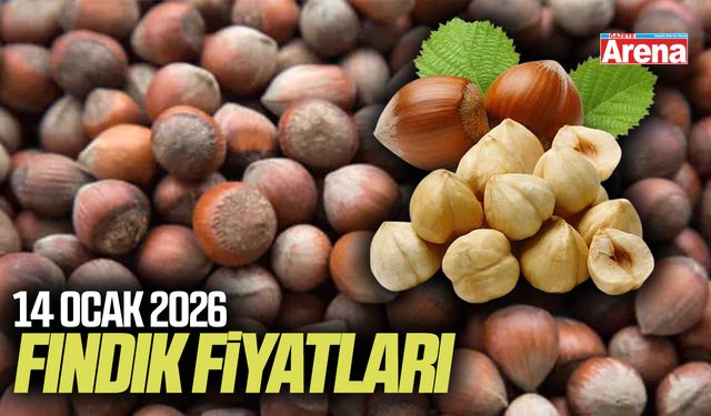 14 Ocak 2026 fındık fiyatları açıklandı