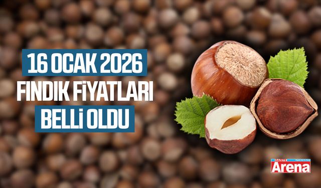 16 Ocak 2026 fındık fiyatları güncellendi