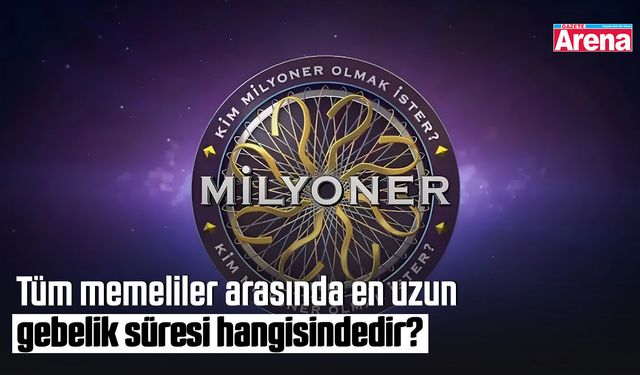 Tüm memeliler arasında en uzun gebelik süresi hangisindedir?